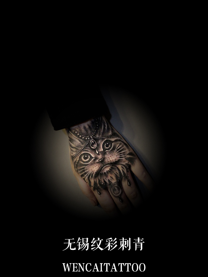 无锡的楚小姐手背可爱写实猫咪纹身